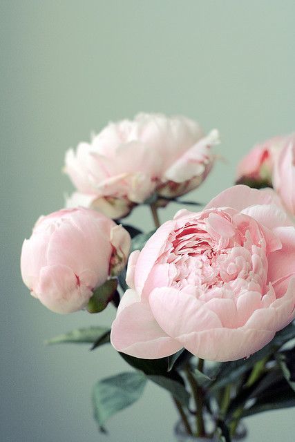 Inspiration printanière