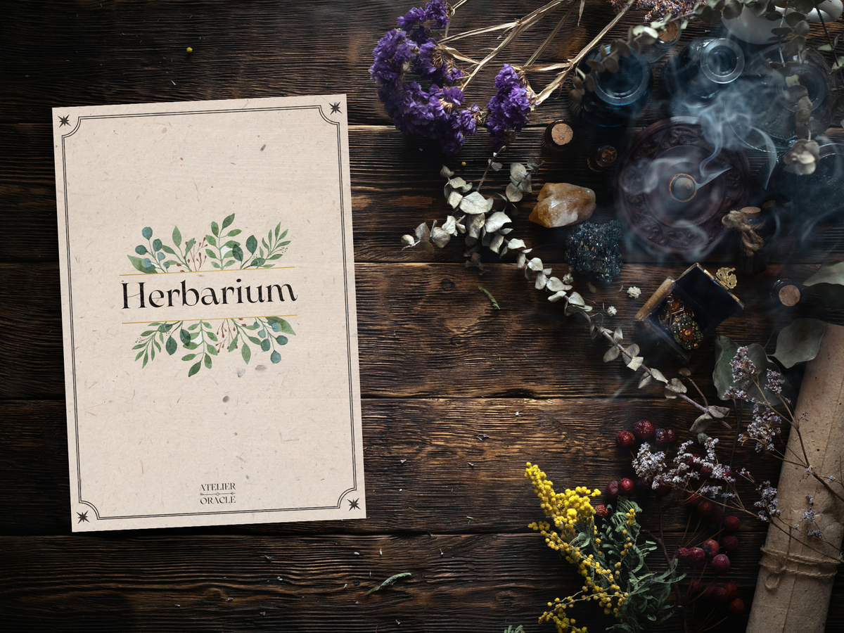 Herbarium — 6 plantes magiques