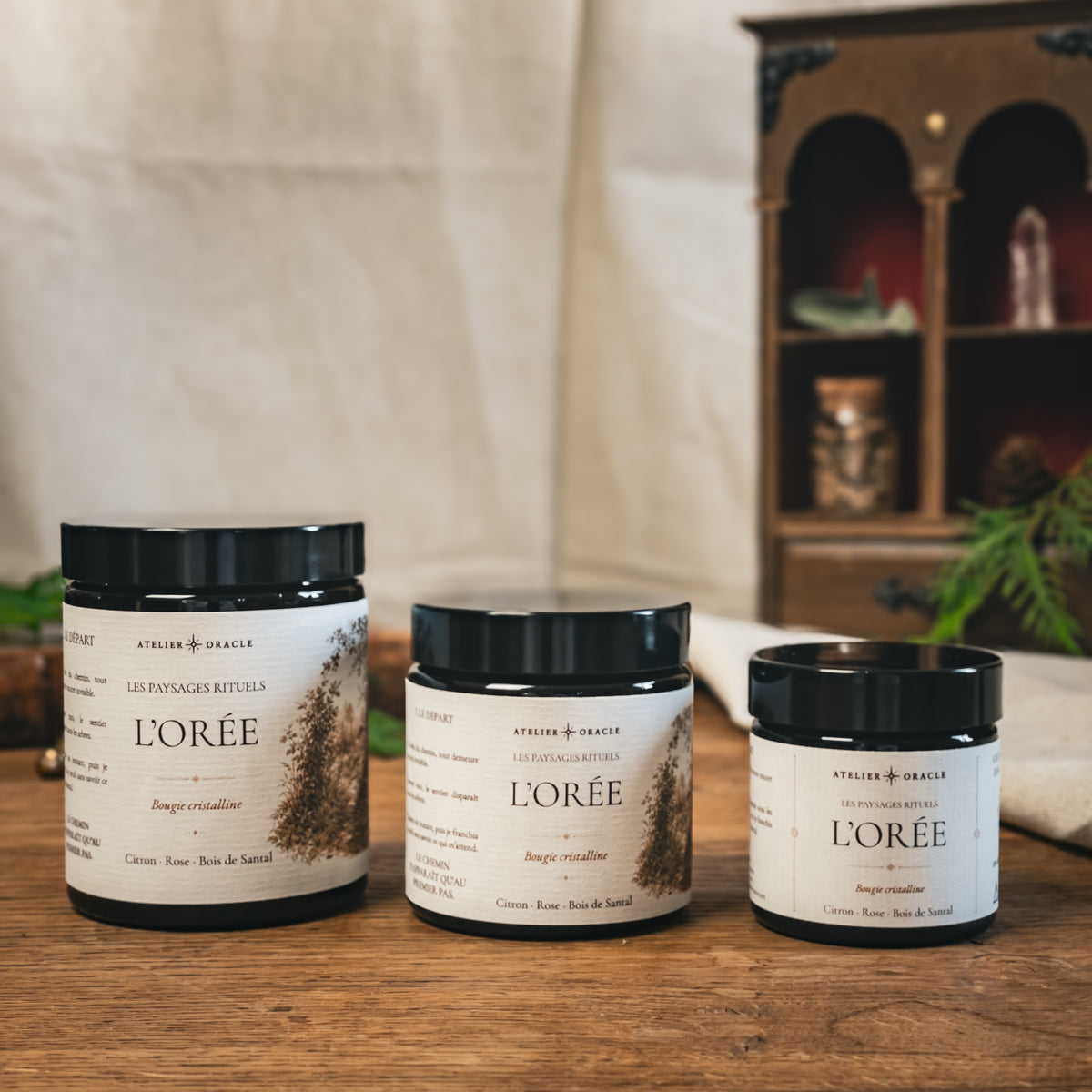 Les trois formats de bougie L'Orée – Atelier Oracle