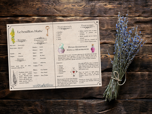 Herbarium - Le bouillon-blanc