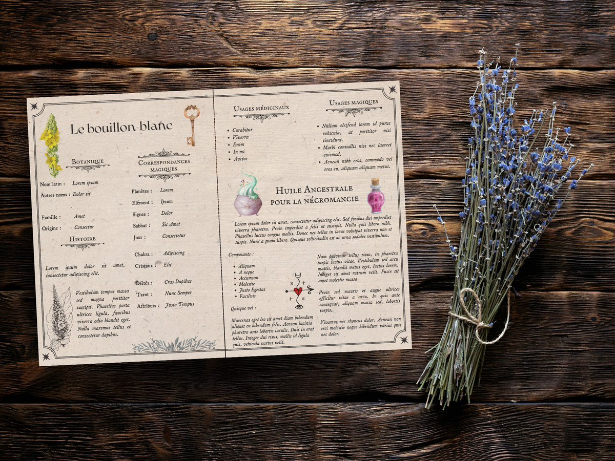 Herbarium — 6 plantes magiques